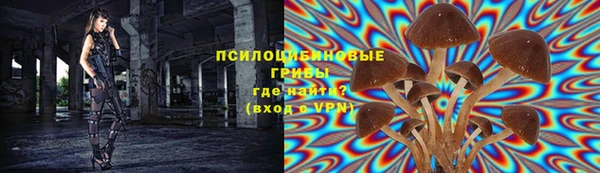 СК Абдулино