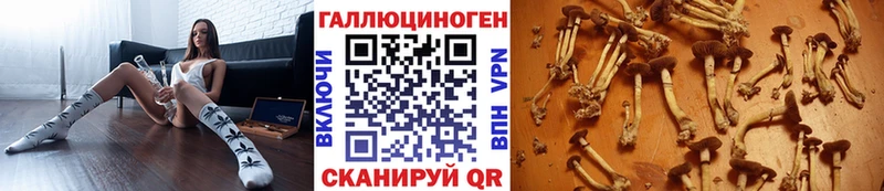Галлюциногенные грибы MAGIC MUSHROOMS Грязи