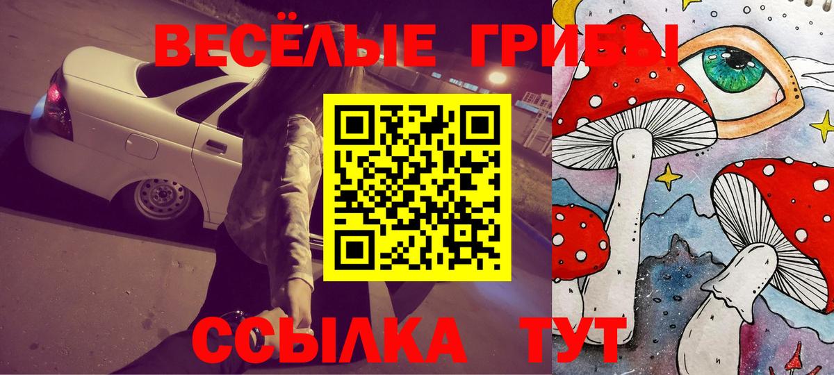 Псилоцибиновые грибы MAGIC MUSHROOMS Грязи