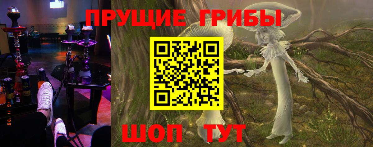 Псилоцибиновые грибы ЛСД  Вход с VPN  Галлюциногенные грибы Psilocybine cubensis  Грязи 